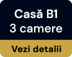 1-B-buton-min