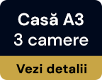 3-A-buton-min